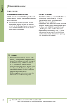 Ruhestrommessung Typ 221
