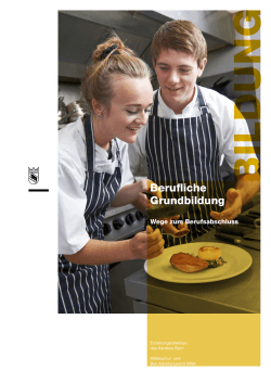 Berufliche Grundbildung - Erziehungsdirektion des Kantons Bern