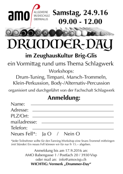 drummer-day - Allgemeine Musikschule Oberwallis
