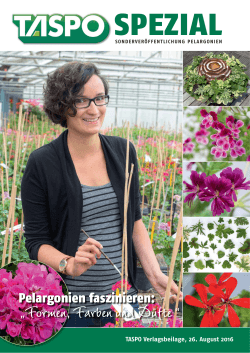 Pelargonien faszinieren: „Formen, Farben und Düfte “