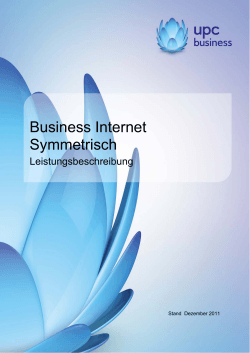 Business Internet Symmetrisch