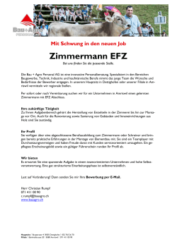 Zimmermann EFZ