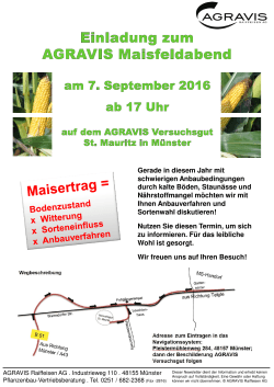 Einladung zum Maisfeldabend in Münster
