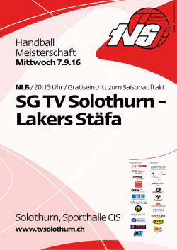 Handball Meisterschaft