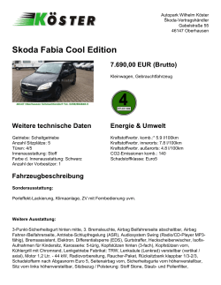 Skoda Fabia Cool Edition Fahrzeugbeschreibung