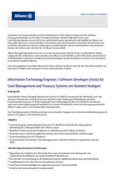 Information Technology Engineer / Software Developer (m/w) f&uuml;r
