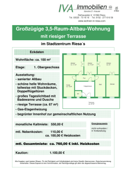 Gro&szlig;z&uuml;gige 3,5-Raum-Altbau-Wohnung mit riesiger Terrasse im