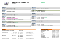 Jahresplan Cevi Effi 2016