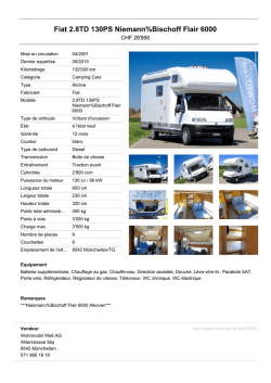 Fiat 2.8TD 130PS Niemann%Bischoff Flair 6000