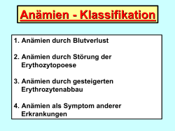 Anämien - Klassifikation