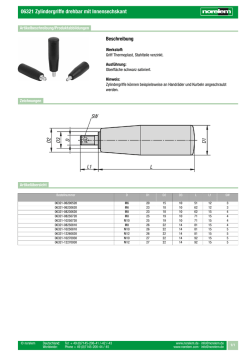 06321 Zylindergriffe drehbar mit Innensechskant