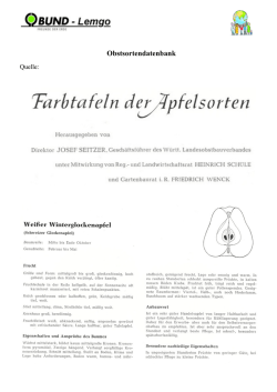 01 Seitzer Titel Int