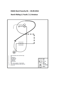 DQHA Nord Futurity L1Y L1A Ranch Riding