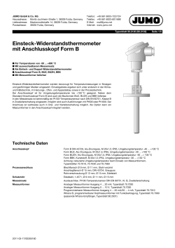 Einsteck-Widerstandsthermometer mit Anschlusskopf Form B