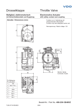 Drosselklappe Throttle Valve
