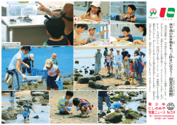 貝 や海 の生 き物 をもっと好 きになろう！︵西 宮市貝 類 館 ︶