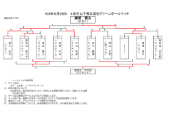 H28年8月28日 4年生以下男女混合グリーンボールマッチ