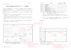 電力系統への発電設備の連系に関する申込みについて（FIT