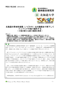 北海道の草地性鳥類（ノビタキ）は大陸経由で南下して
