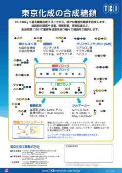 東京化成の合成糖鎖のリーフレットはこちら