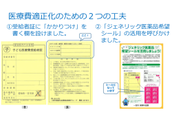 医療費適正化のための2つの工夫 （PDF 177.5KB）