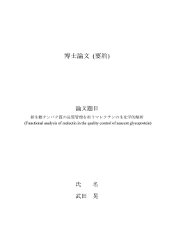 博士論文 (要約)
