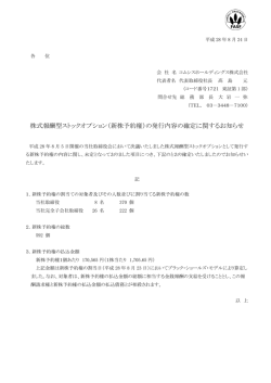 株式報酬型ストックオプション（新株予約権）