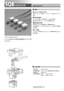 詳細情報