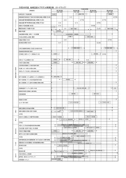 地域包括ケアモデル事業 平成28年度ロードマップ（PDF：232KB）