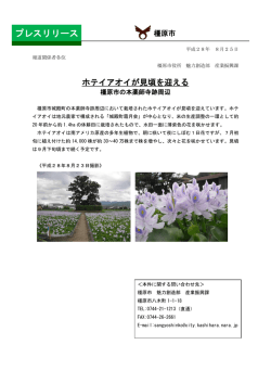 ホテイアオイが見頃を迎える（PDF：309KB）