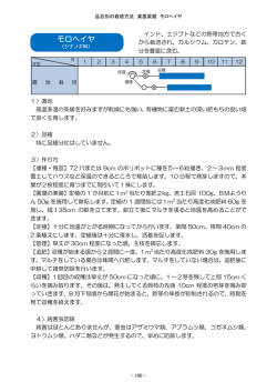 モロヘイヤ（PDF：79KB）