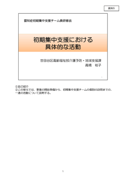 初期集中支援における具体的な活動（PDF：5789KB）