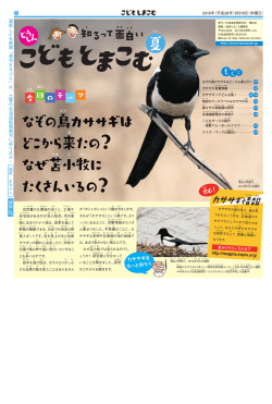 来たの？