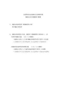 補助金の概要（PDF：33KB）