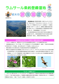 栃木市