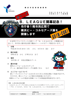 記者発表資料（PDF形式 227KB）