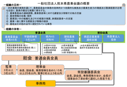 一般社団法人の概要図：PDF形式