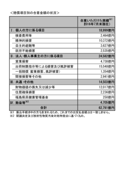 ＜賠償項目別の合意金額の状況＞ 合意いただけた実績 （2016年7月末