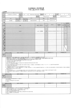 平成27年度(PDF:730KB)