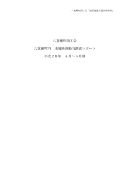 八重瀬町商工会 八重瀬町内 地域経済動向調査レポート 平成28年 4月