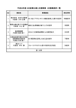 平成28年度 6次産業化導入支援事業 2次募集採択一覧