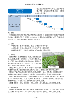 コマツナ（PDF：107KB）