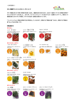 ＜参考資料＞