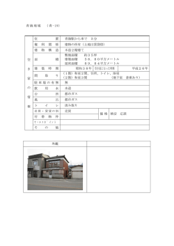 詳細情報