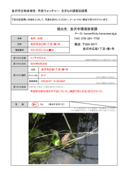 調査記録票記載例