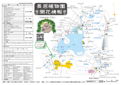 ＼Twitterもやってるよ／