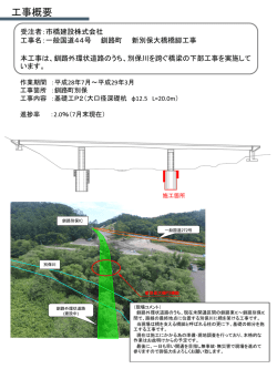 一般国道44号 釧路町 新別保大橋橋脚工事