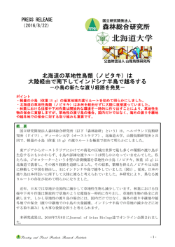 北海道の草地性鳥類（ノビタキ）は 大陸経由で南下して