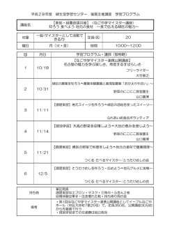 学習プログラム (PDF形式, 78.41KB)