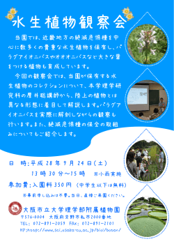 水生植物観察会 - 大阪市立大学